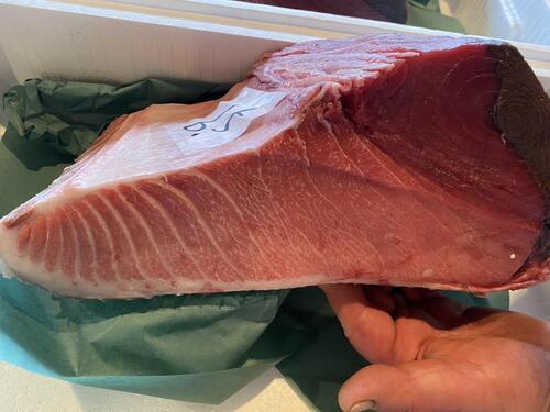 本マグロブロック(巻網)