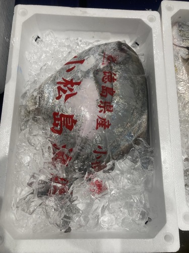 マナカツオ1入約2.2kg