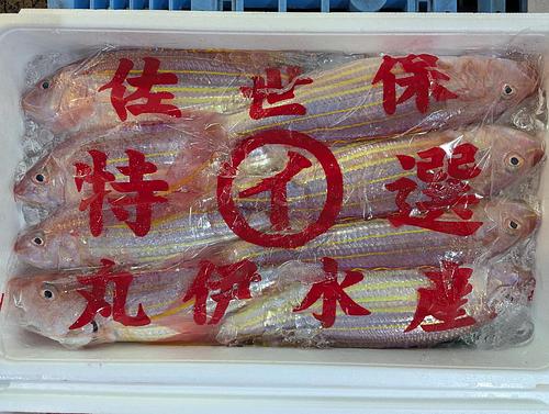 イトヨリダイ6入約4kg(底曳)