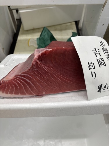 本マグロ(釣)