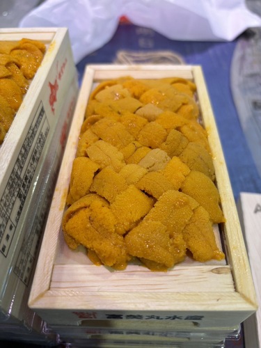 バフンウニ（板）20入約2kg