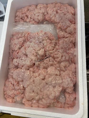タラ白子約3kg