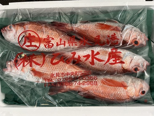 ノドグロ(アカムツ)(刺網)