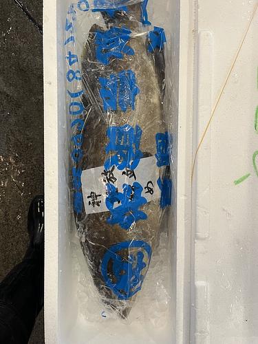 クエ1入約3.5kg(釣)