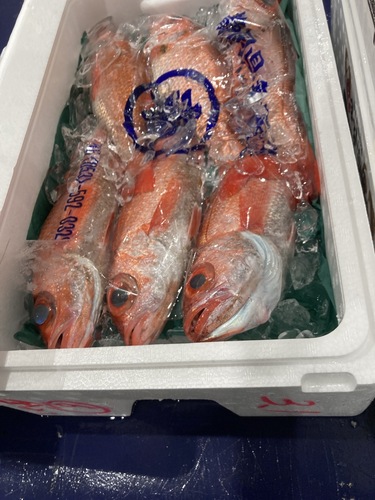 アカムツ6入約3.1kg(釣)