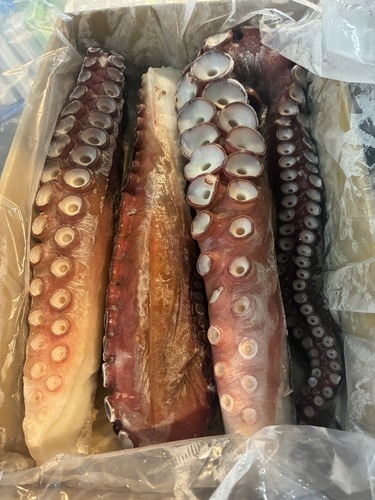 タコ足