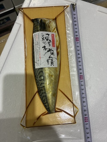 サバ漬魚約1.5kg