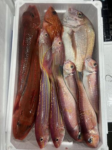 鮮魚BOX約4.9kg(釣)
