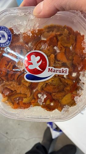 バフンウニ（塩水）