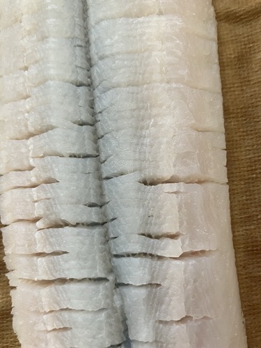 骨切りハモ11入約2kg