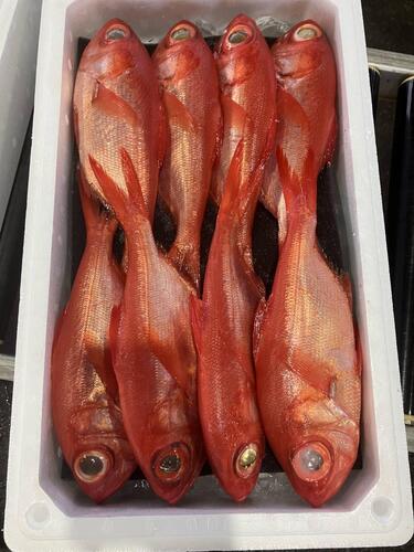 キンメダイ(釣)