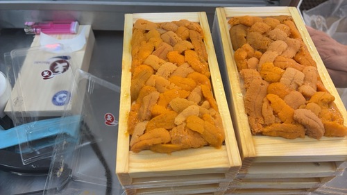 バフンウニ（板）40入約4kg