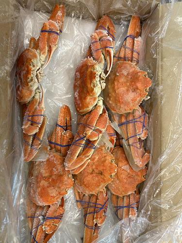 オオズワイガニ3k8、9尾2合17入約6kg