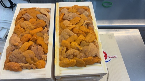 バフンウニ（板）30入約3kg
