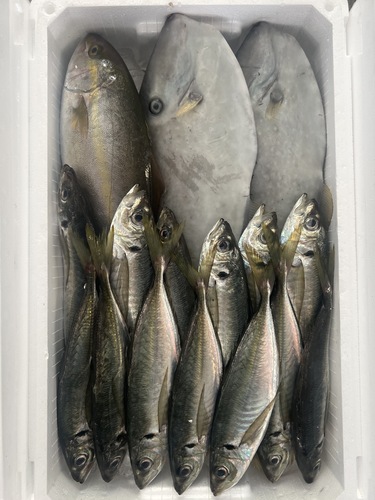 鮮魚BOX約5.4kg(定置)