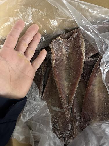 カツオ（冷凍）カツオ2.5キロ上の腹皮71入約10kg