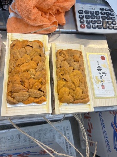 バフンウニ（板）30入約3kg