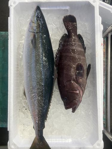 鮮魚BOX約3.2kg(釣)