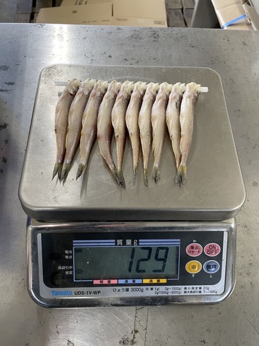 シシャモ300入約3.6kg