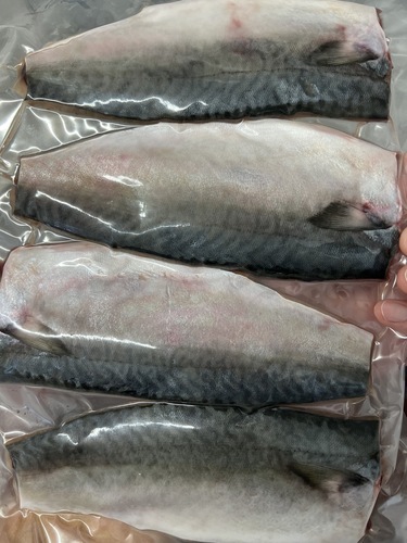 冷凍さばフィーレ28入約12kg(沿岸)