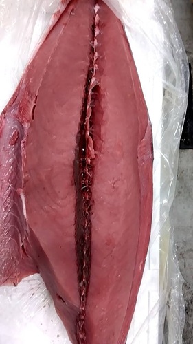 キハダマグロ生キハダロイン1入約3kg(巻網)