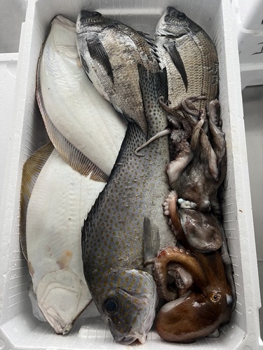 鮮魚BOX約4.8kg(定置)