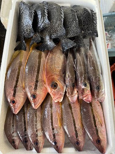 鮮魚BOX約4.5kg(定置)