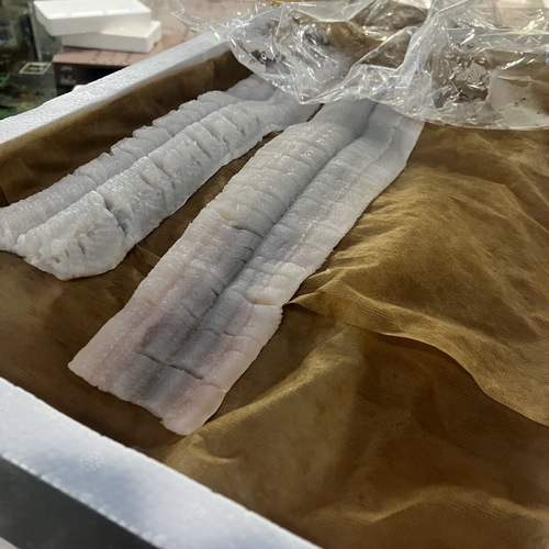 骨切りハモ13入約2kg