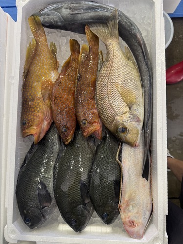 鮮魚BOX約3.7kg(定置)