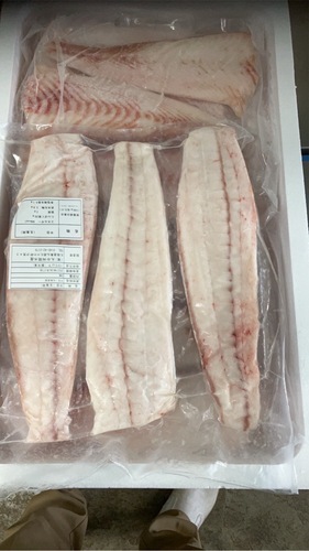 ヒラメ7-12パック入り約5kg