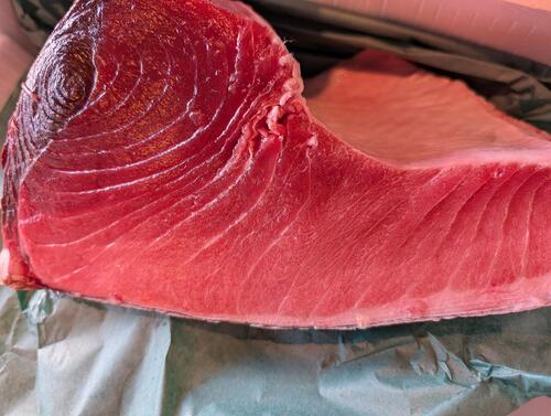 本マグロブロック(巻網)