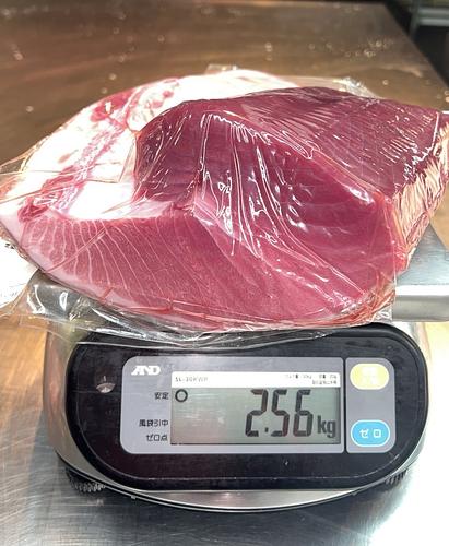 神経〆本マグロ(定置)