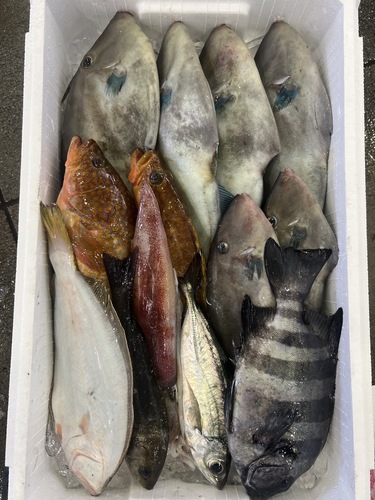 鮮魚BOX約5kg(定置)