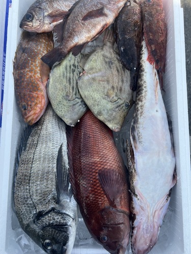 鮮魚BOX約4.1kg(釣)