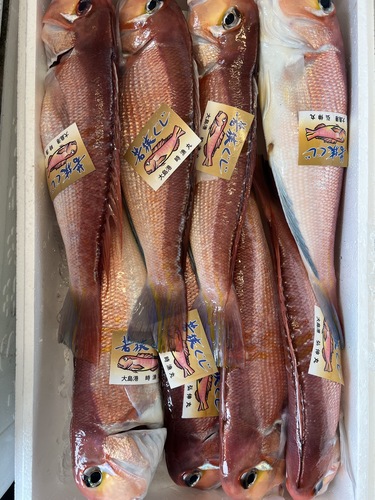 神経〆若狭ぐじ8入約4.3kg(釣)