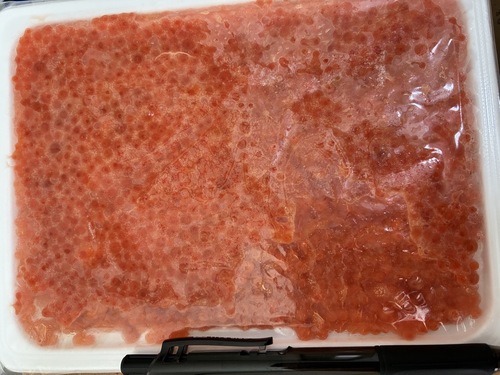イクラ40入約10kg