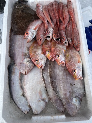 鮮魚BOX約4.7kg(底曳)