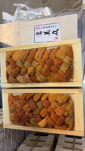 バフンウニ（板）30入約3kg