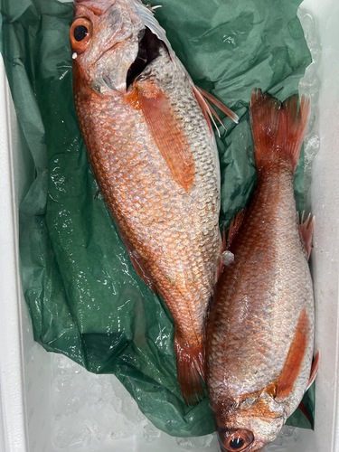 アカムツ1入約1.3kg