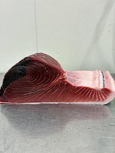 本マグロ(定置)