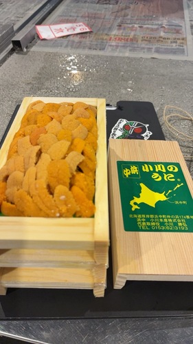 バフンウニ（板）30入約3kg