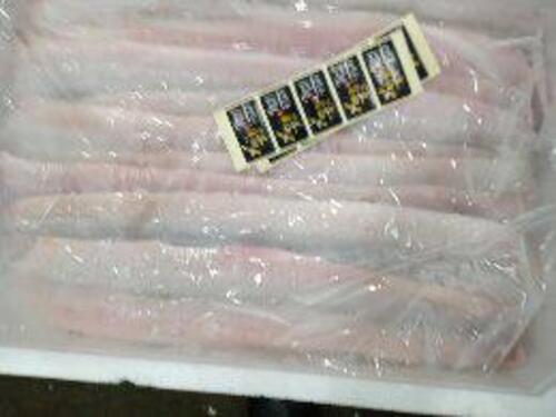ハモ約2kg