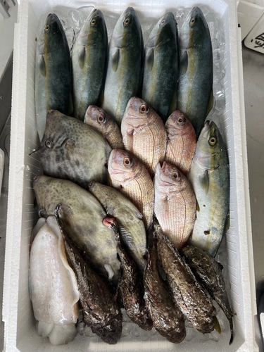 鮮魚BOX約4.6kg(定置)