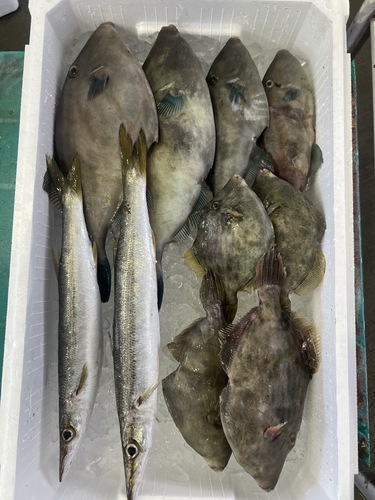 鮮魚BOX約2.9kg(定置)