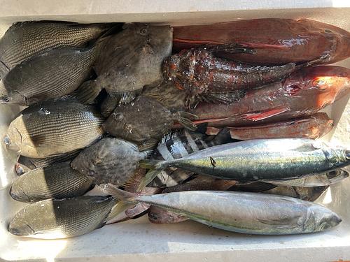 鮮魚BOX約5.7kg(定置)