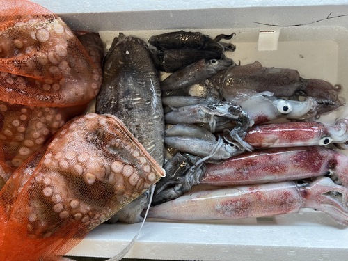 鮮魚BOX約2.9kg