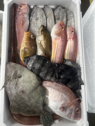 鮮魚BOX約4.7kg(定置)