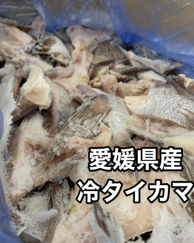 タイカマ8k/50-60入約8kg