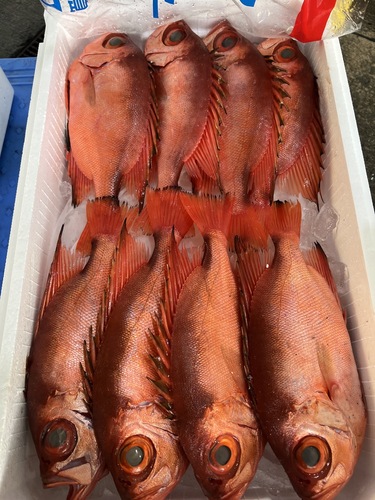 チカメキントキ(釣)