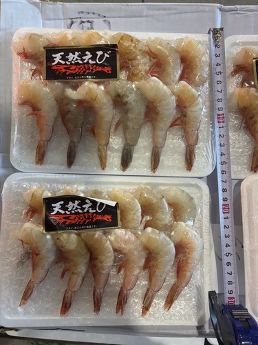 冷凍ホワイトエビ約4kg